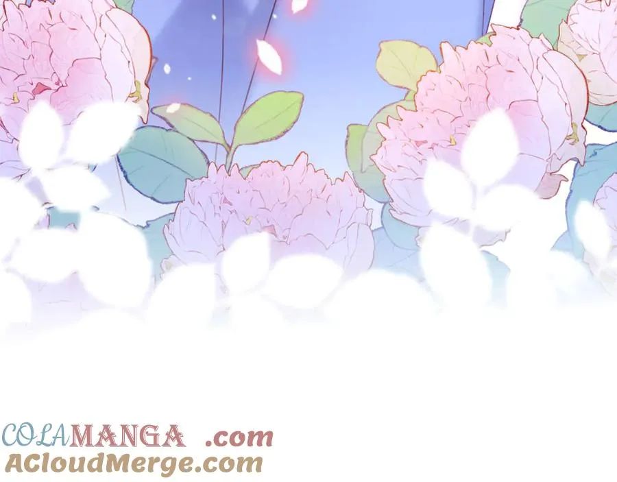 第384页