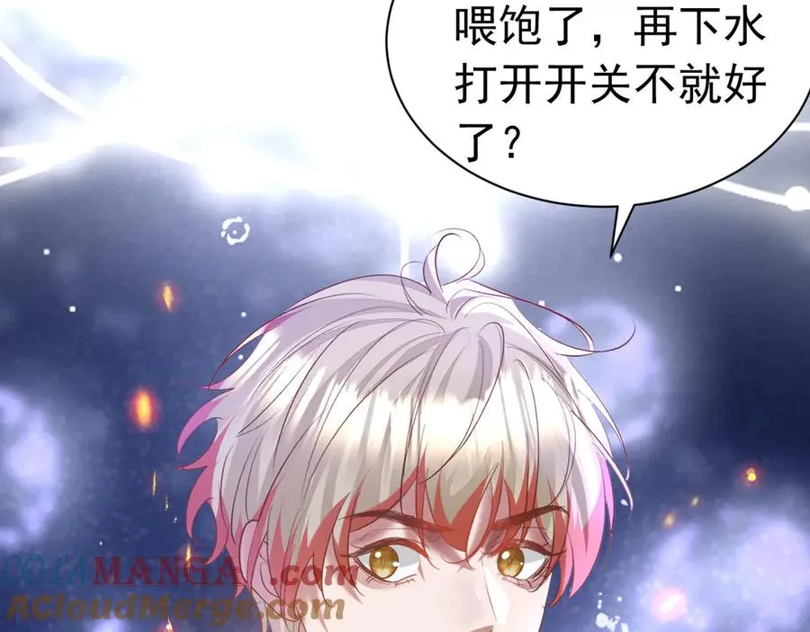 第207页