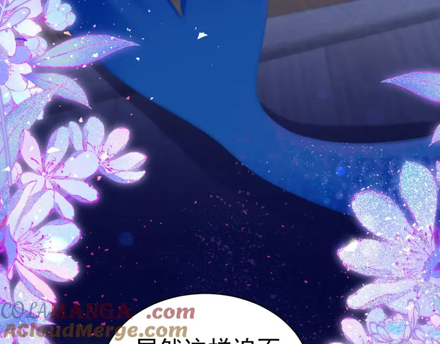第216页
