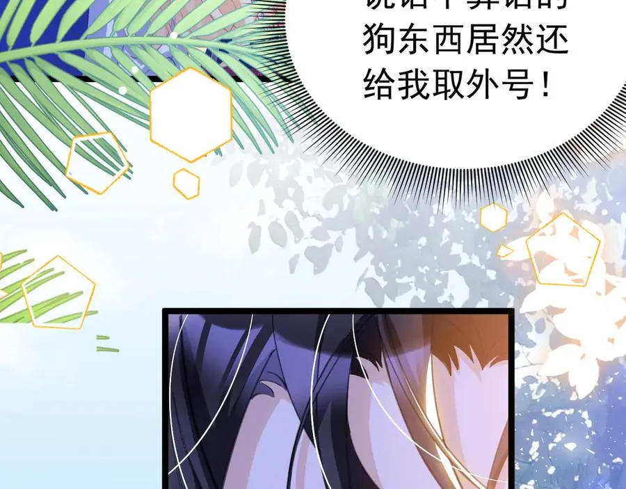 第255页
