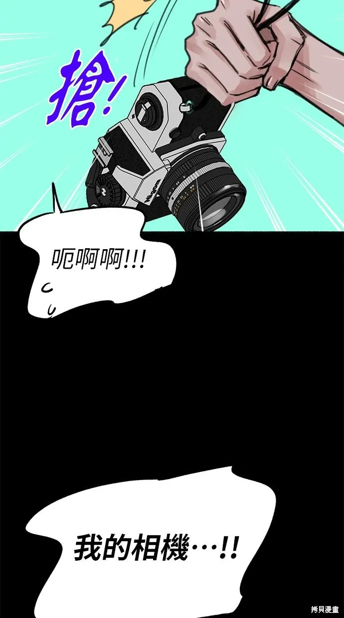 第231页