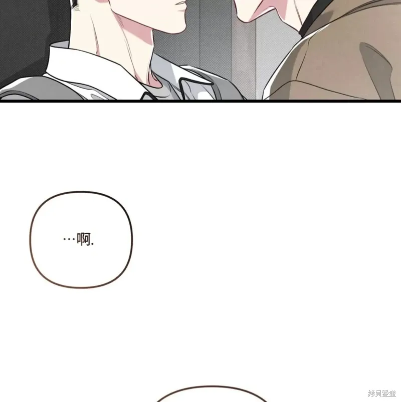 第258页