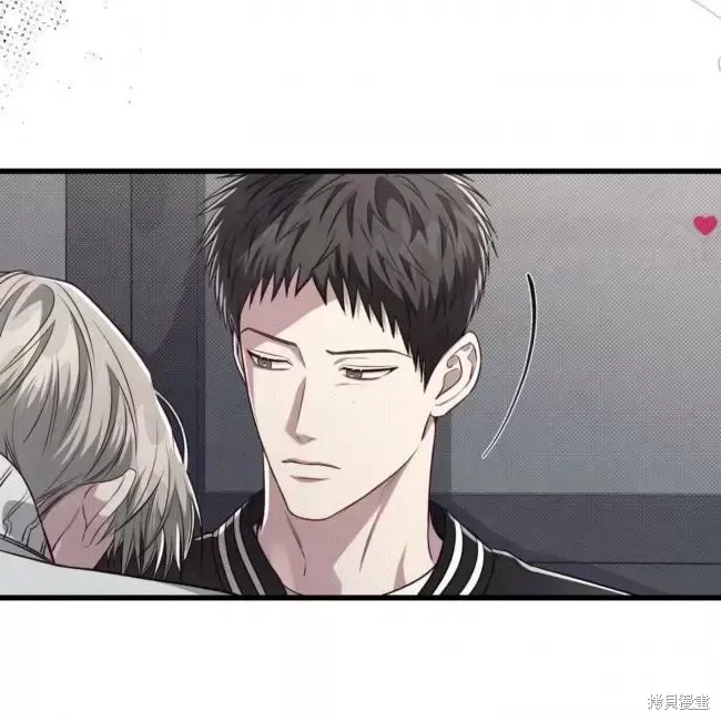 第204页