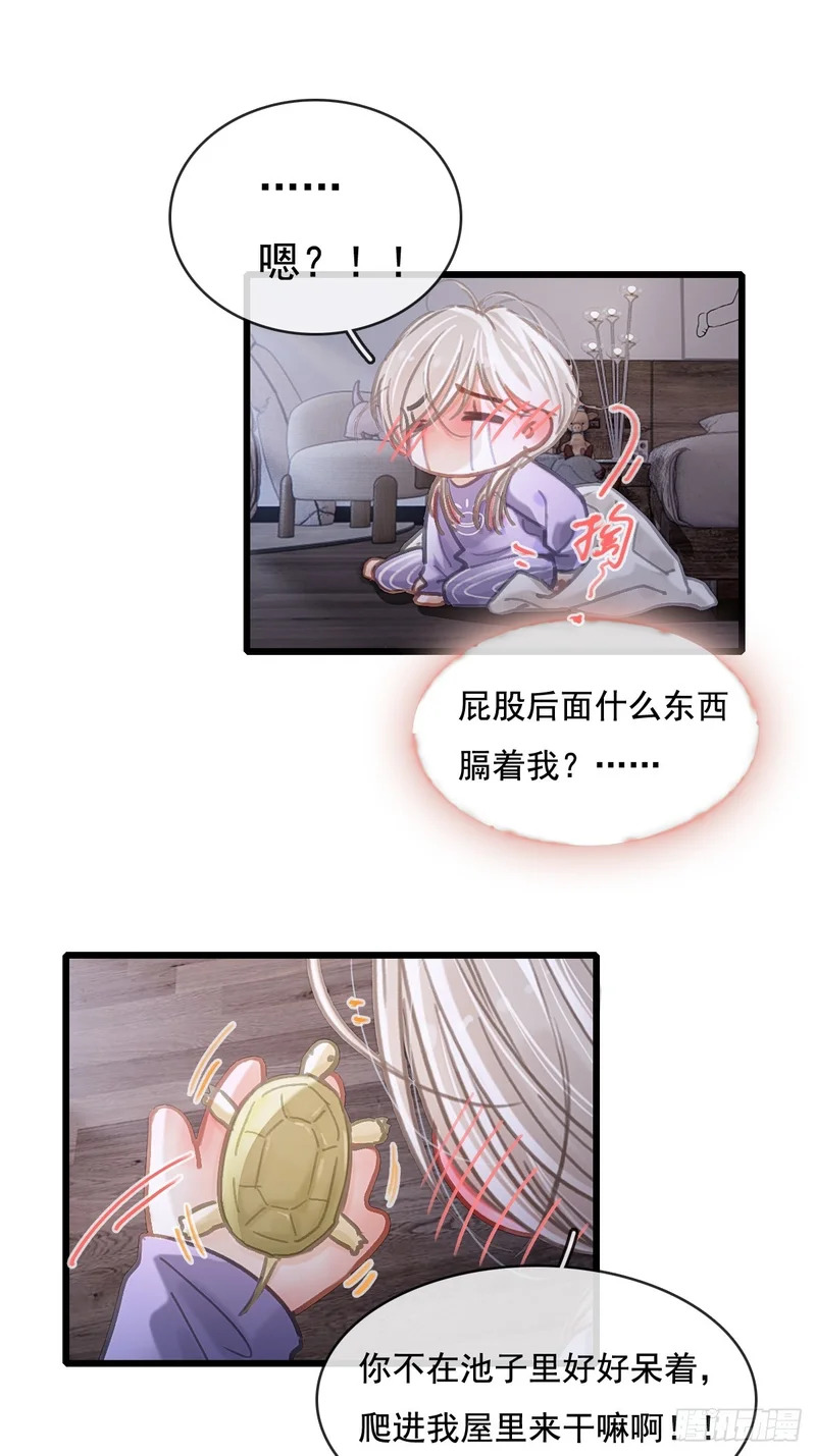 第0页