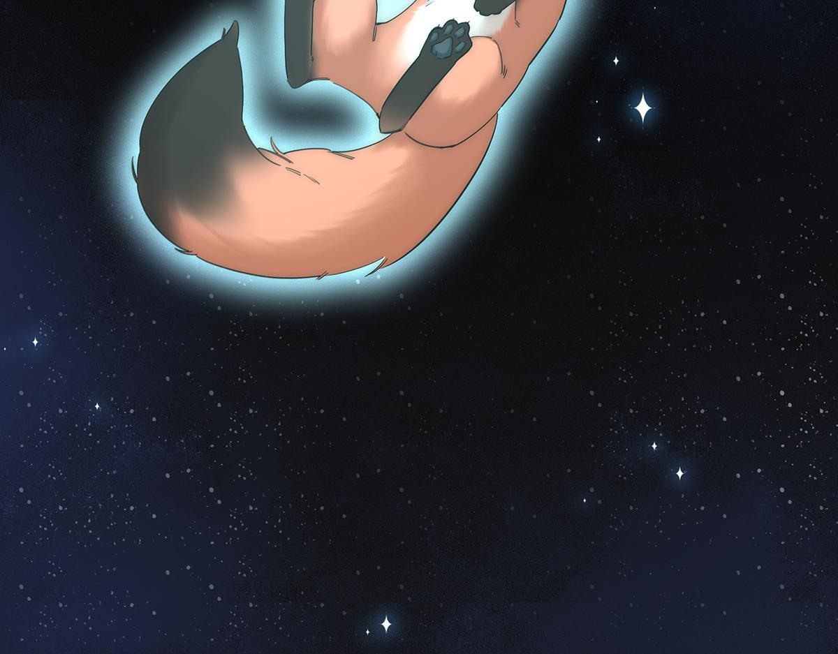 第285页