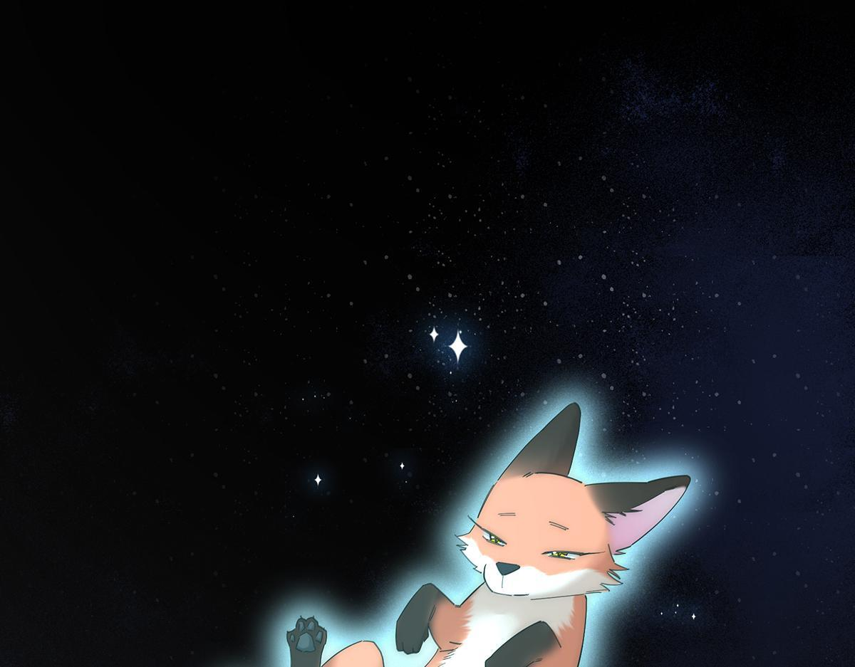 第282页