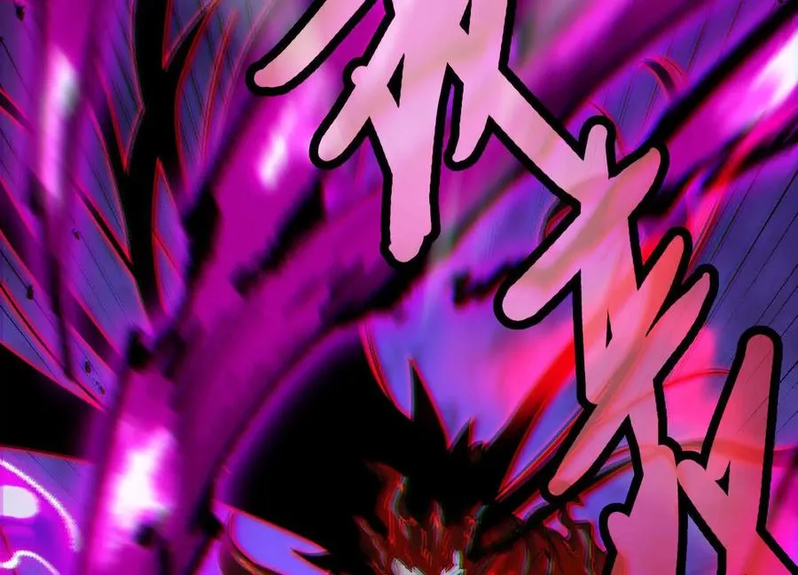 第567页