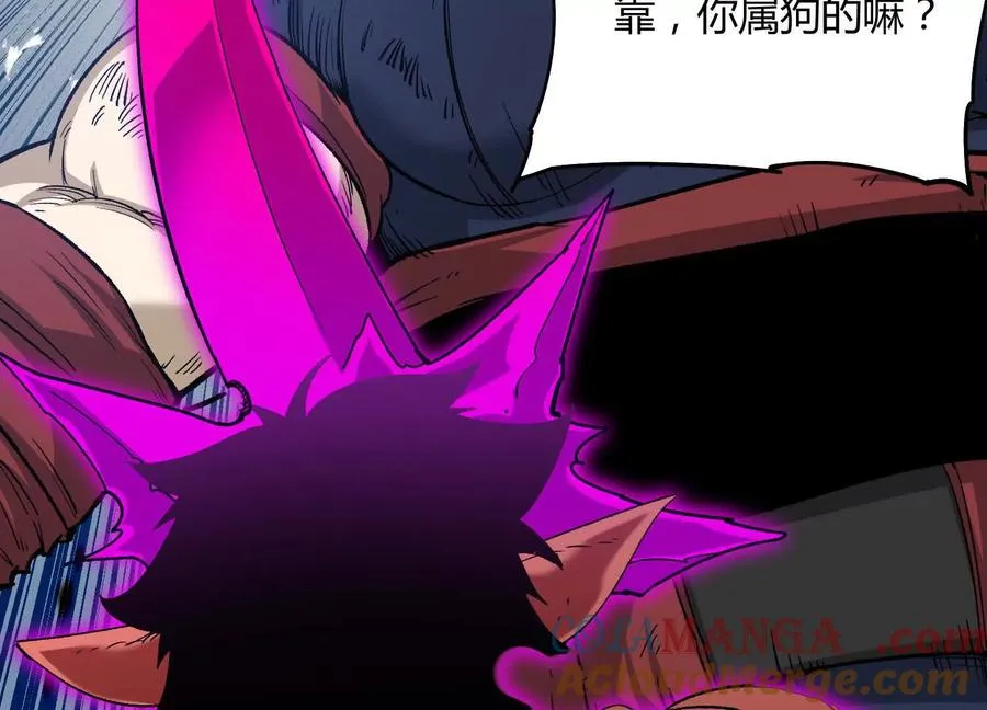 第216页