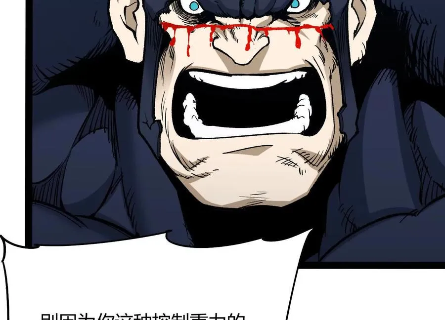 第234页
