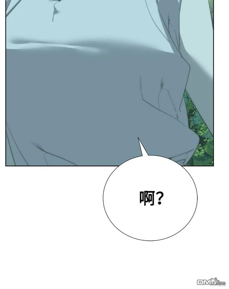 第294页
