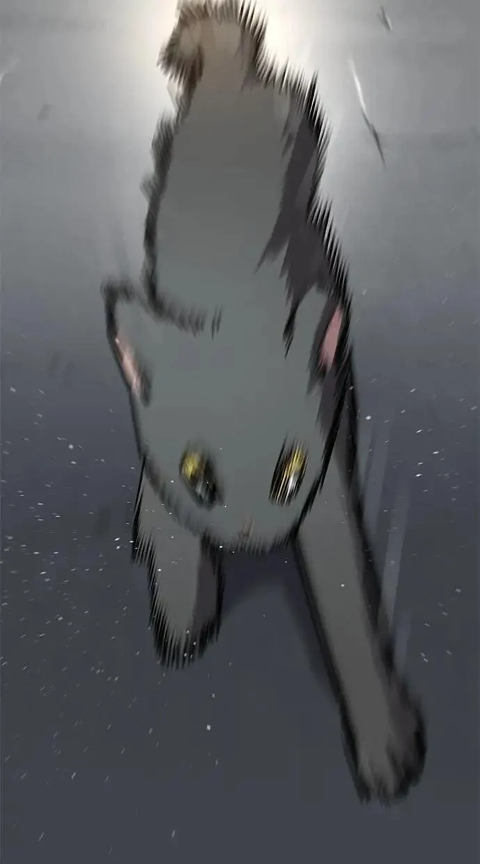 第264页