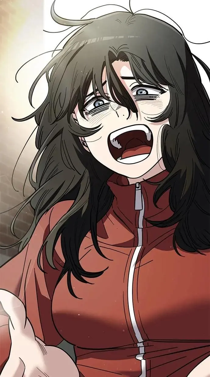 第231页