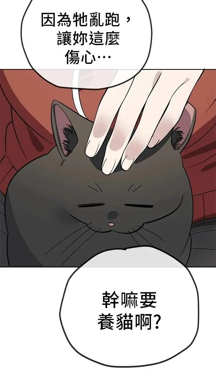 第255页