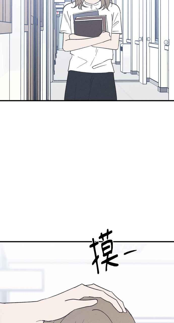 第219页