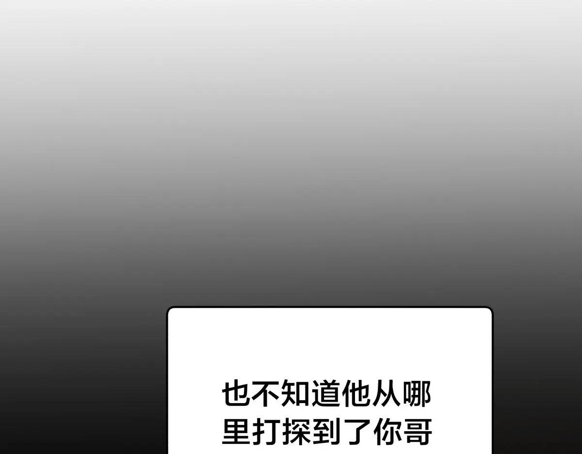 第240页