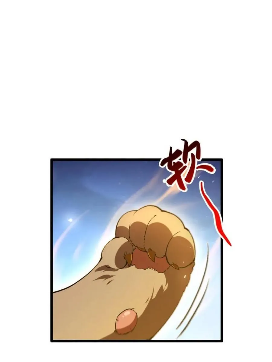 第222页