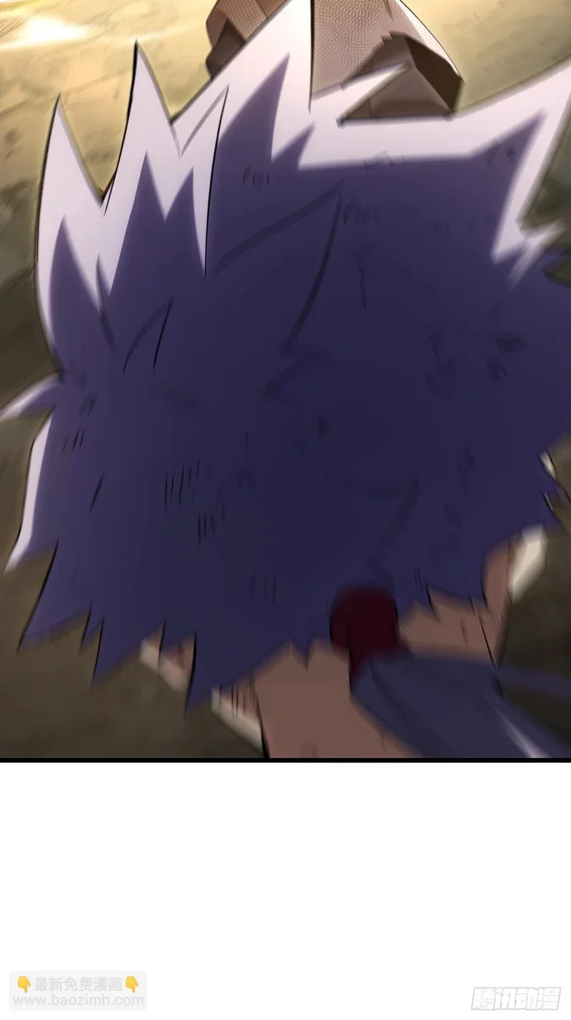 第204页