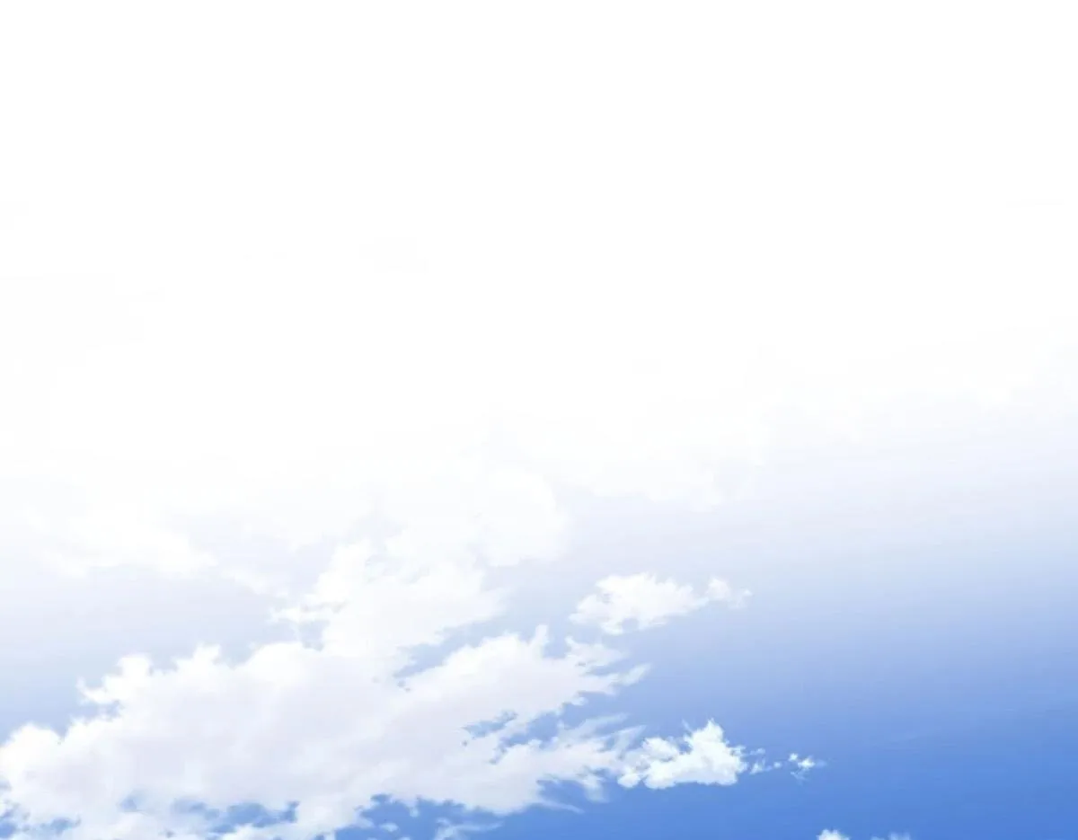 第447页