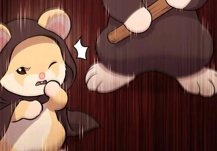 第243页