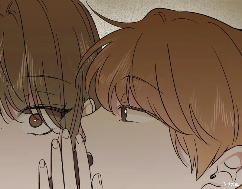 第231页