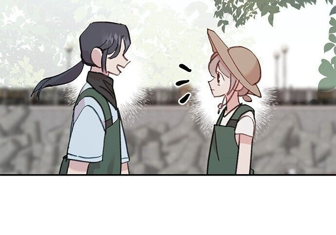 第333页