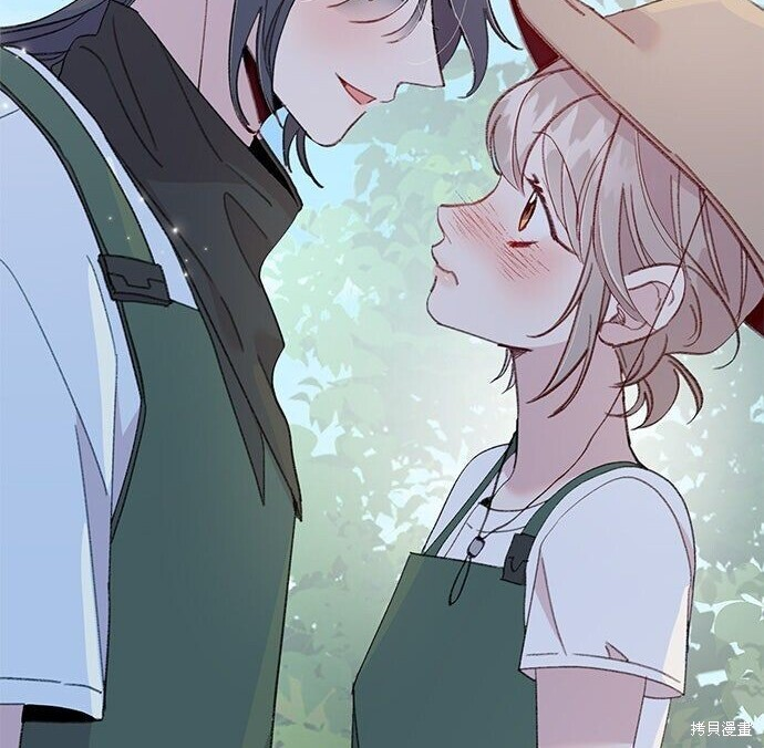 第342页