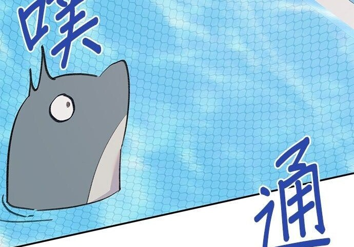 第504页