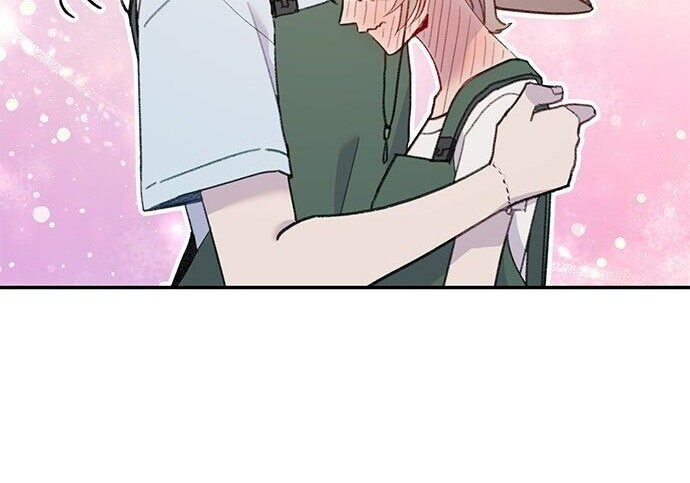 第384页