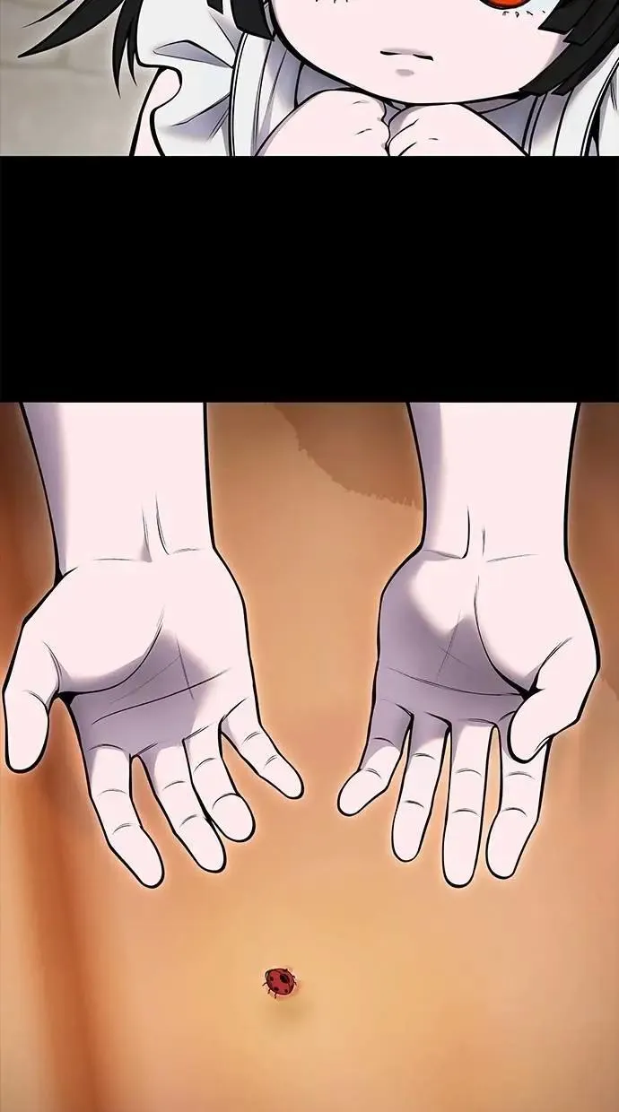 第234页