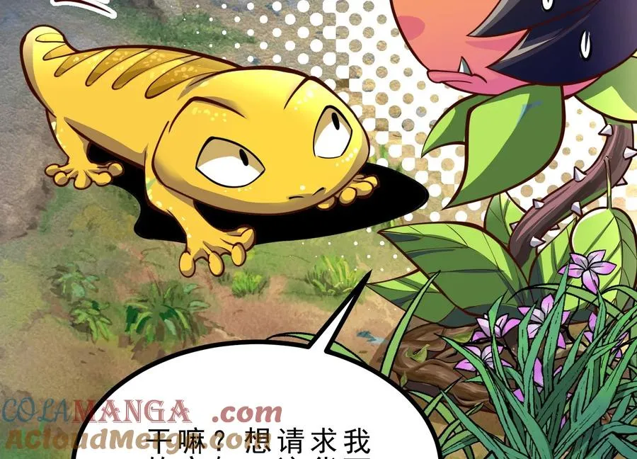 第204页