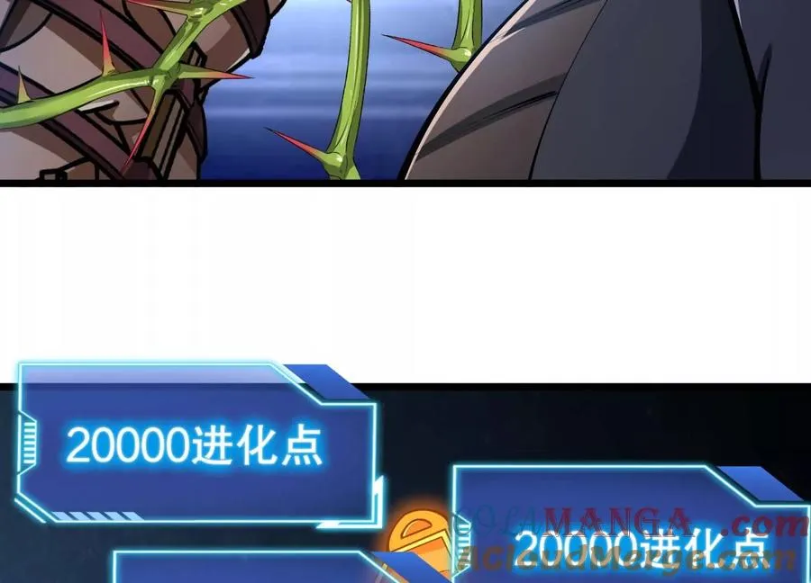 第204页