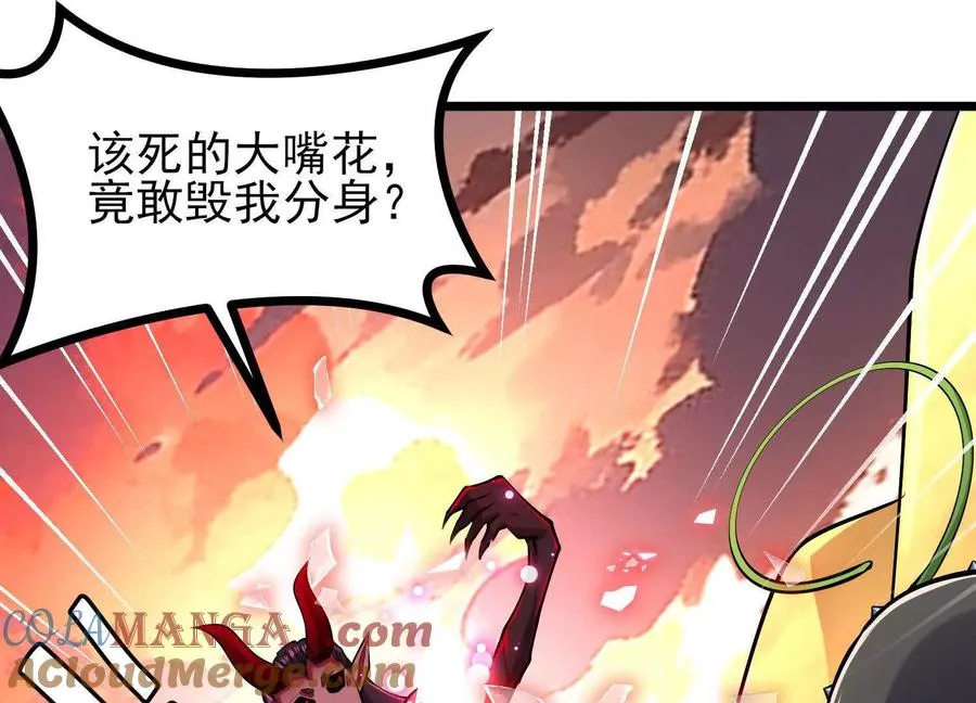 第216页