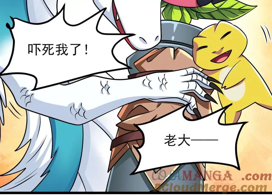 第204页