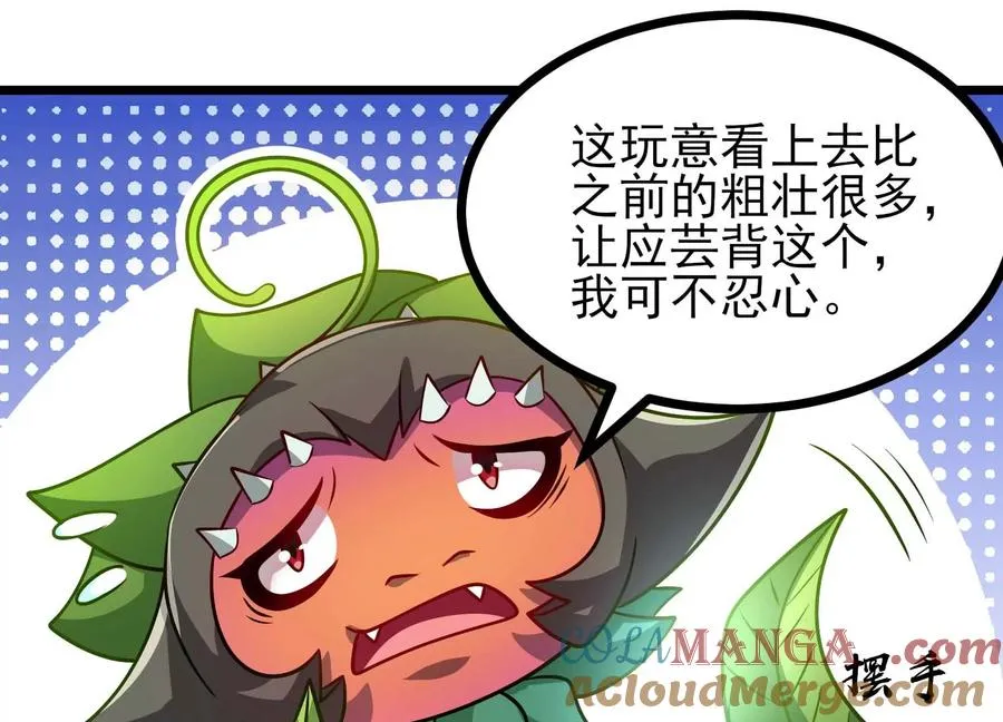 第504页
