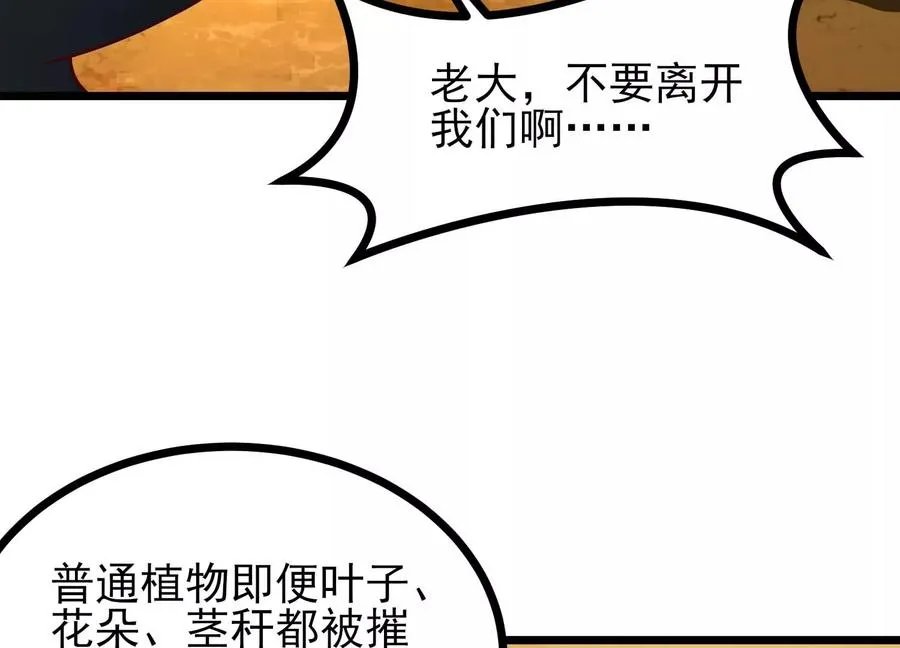 第339页