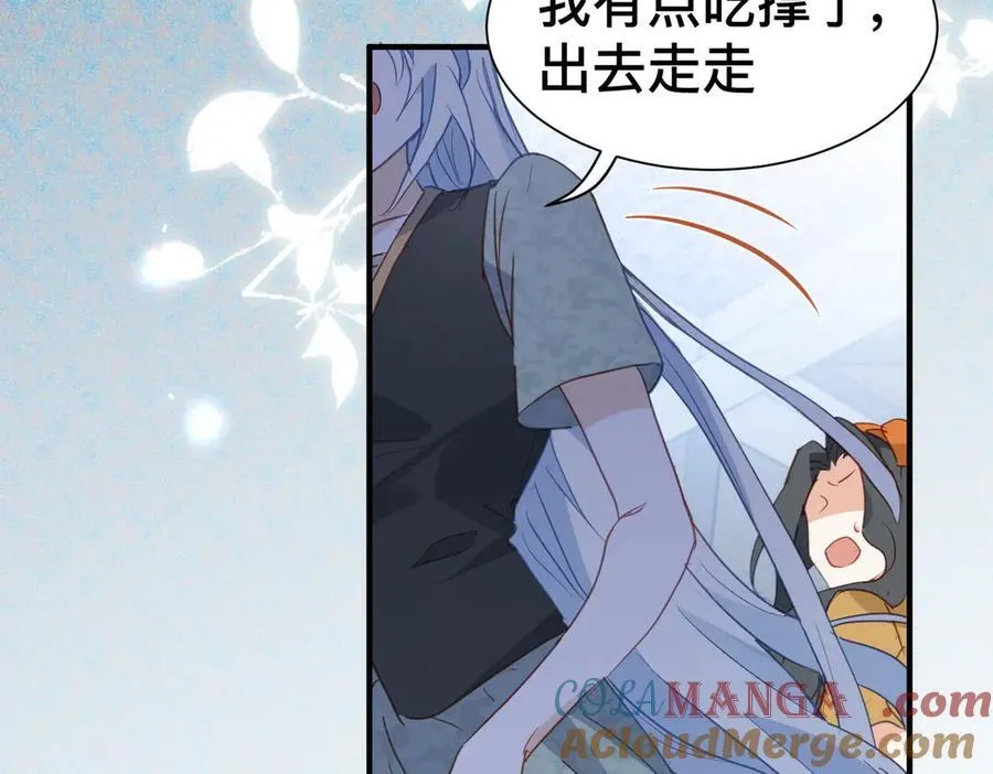 第204页