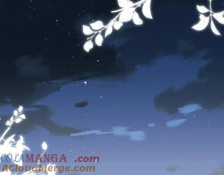 第240页