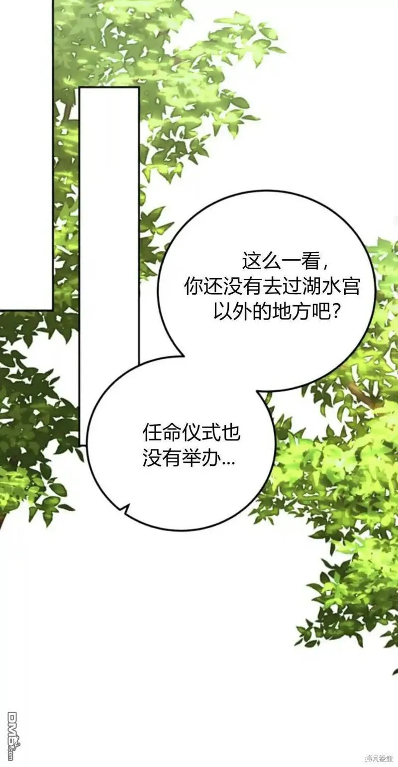 第195页
