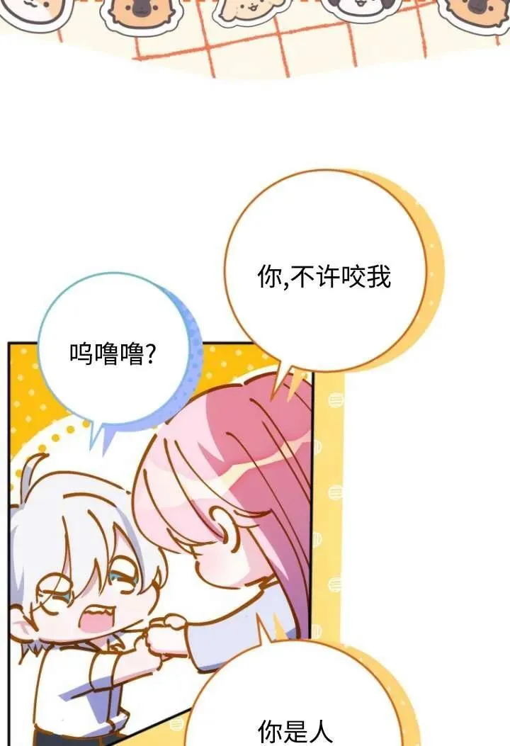第213页