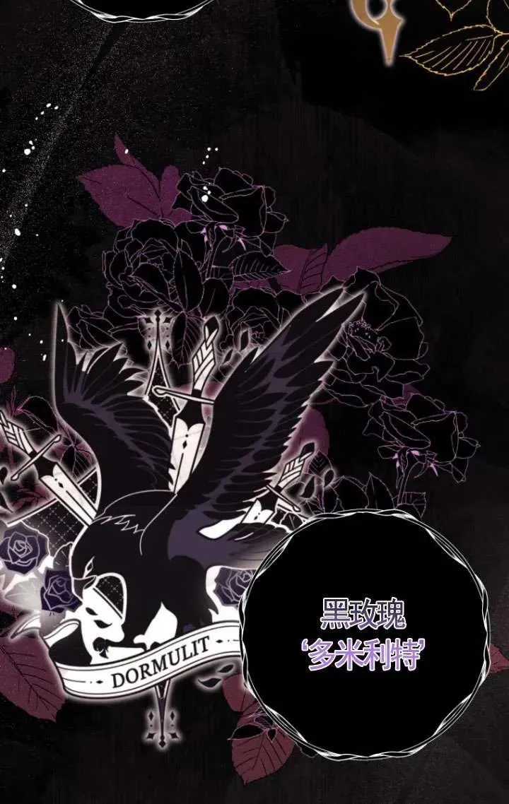 第243页