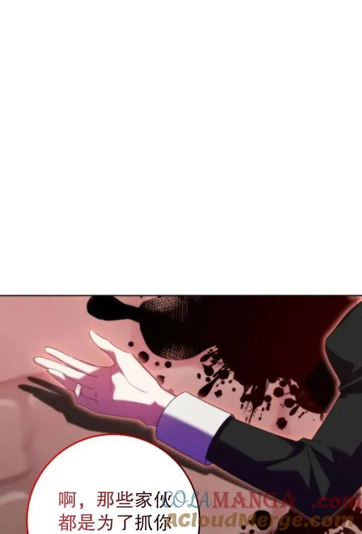 第204页