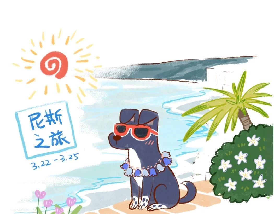第0页