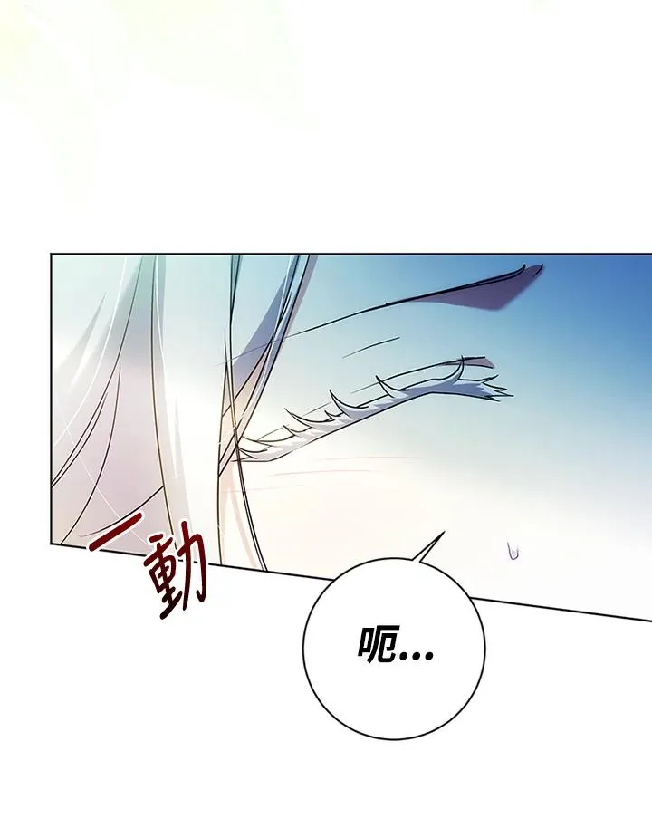 第204页