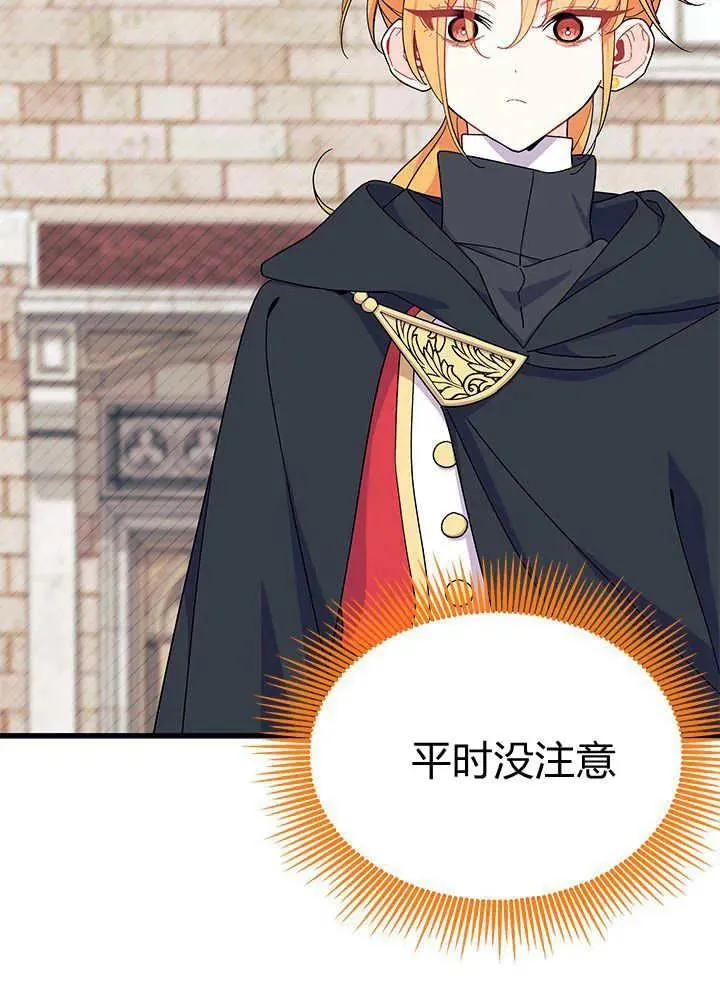 第231页