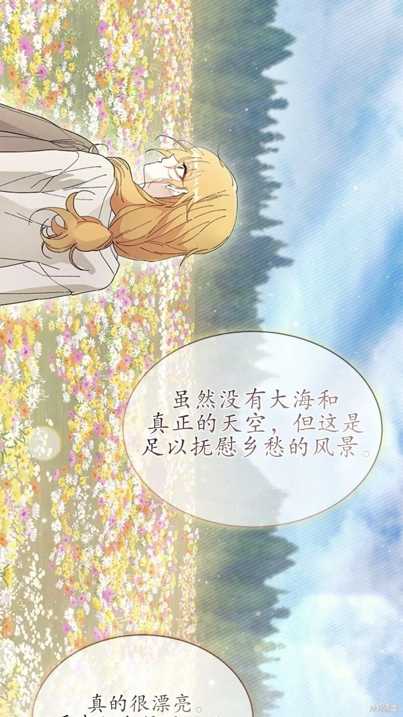 第255页