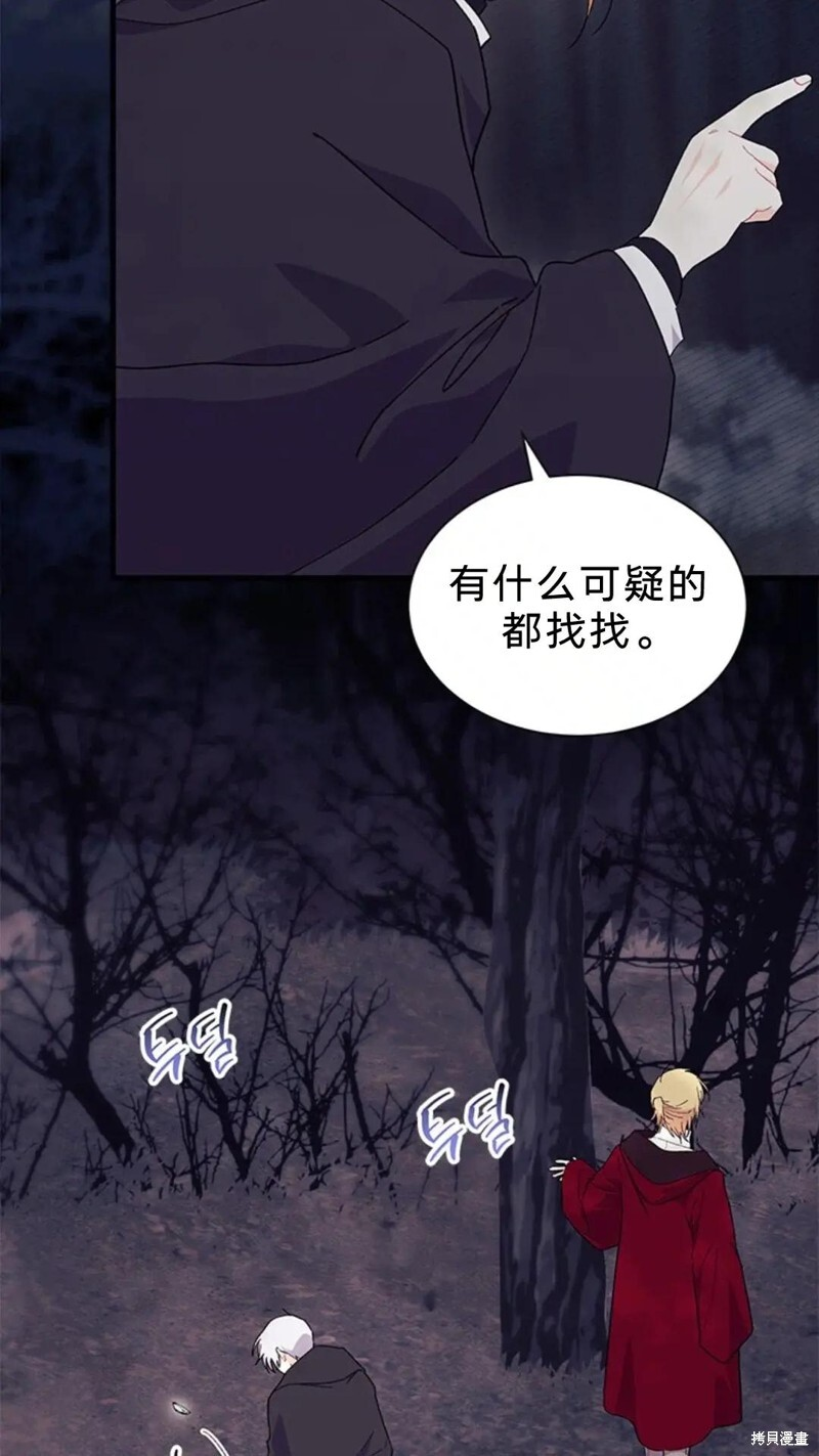 第219页