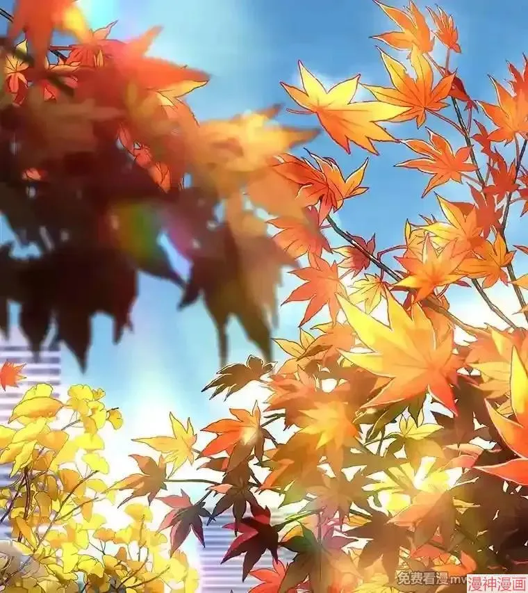 第225页