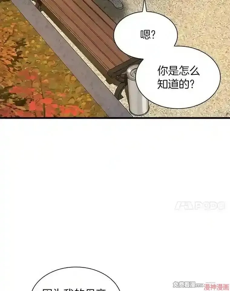 第234页