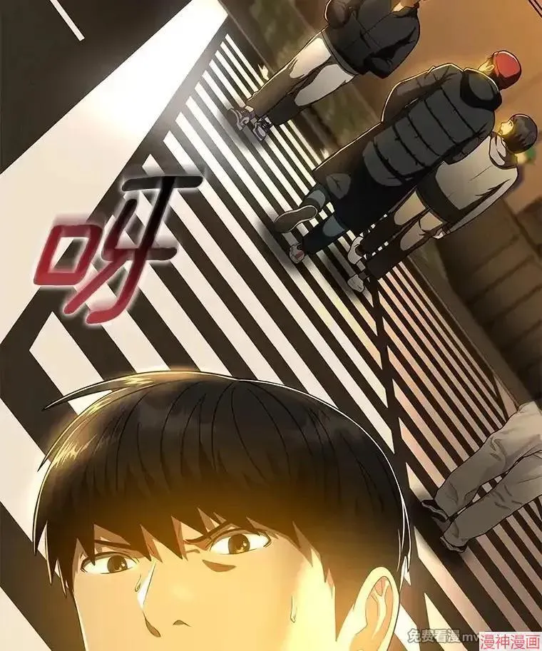 第333页