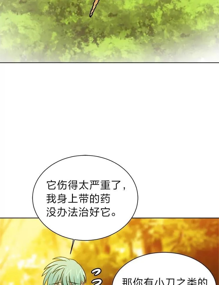 第219页